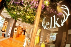 The Elk, Kings Cross and Potts Point, Sydney